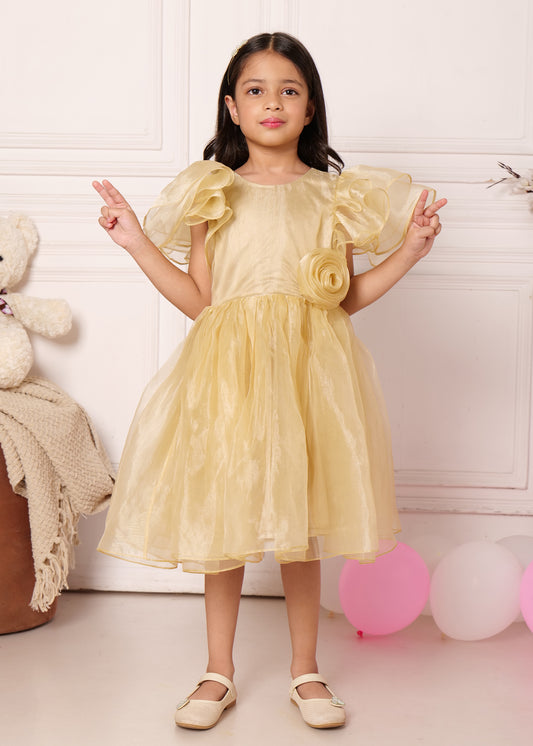 "Little girl posing in a gold puff-sleeve organza dress with a floral detail, smiling and showing peace signs, perfect for special occasions."